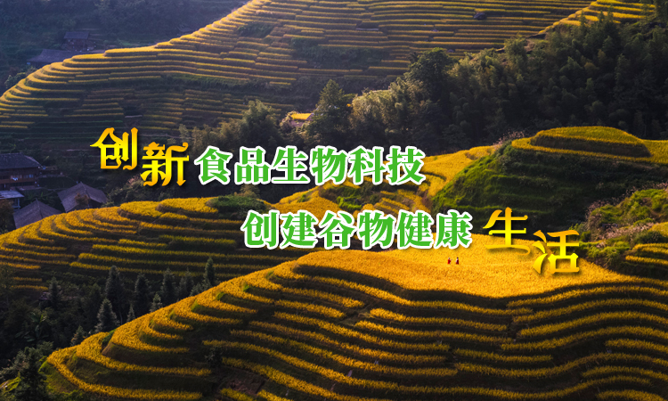 手机轮播图