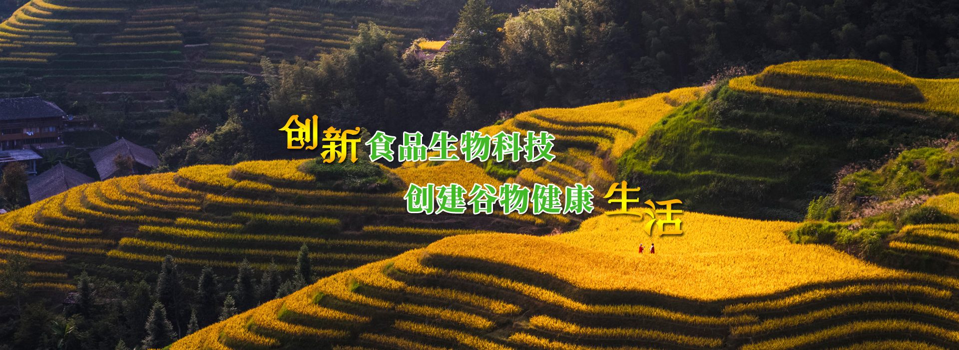 首页轮播图