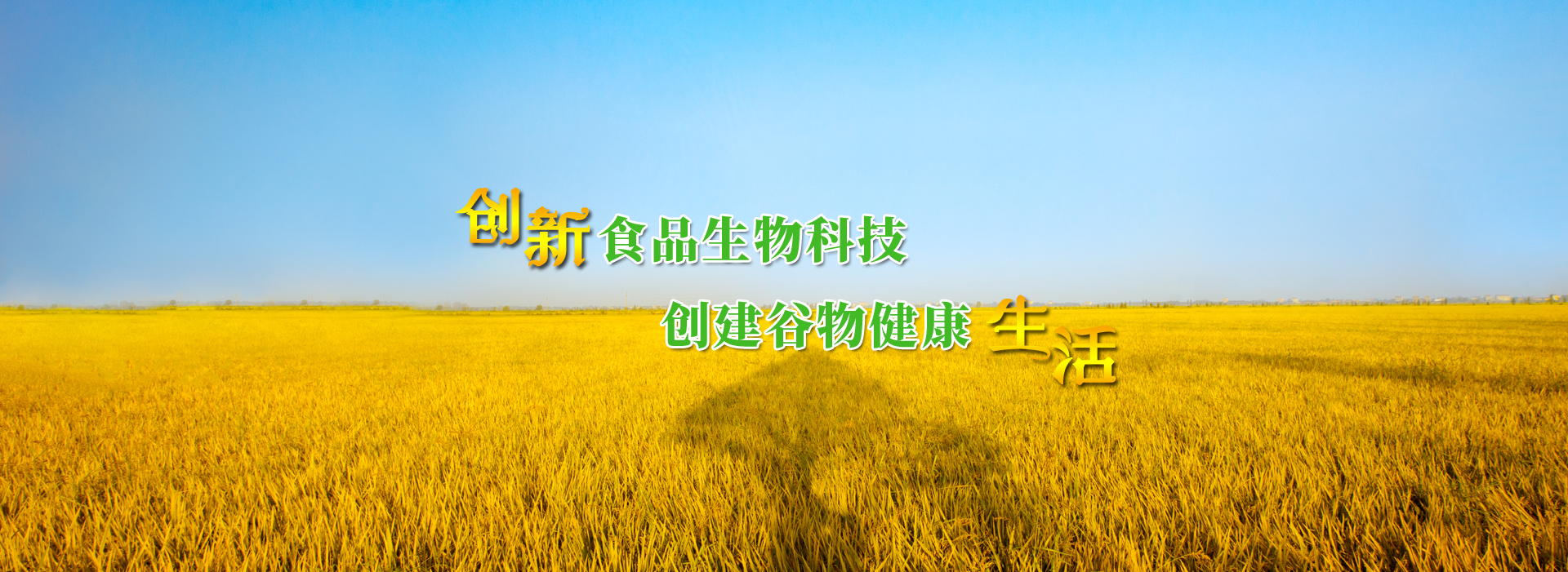 首页轮播图