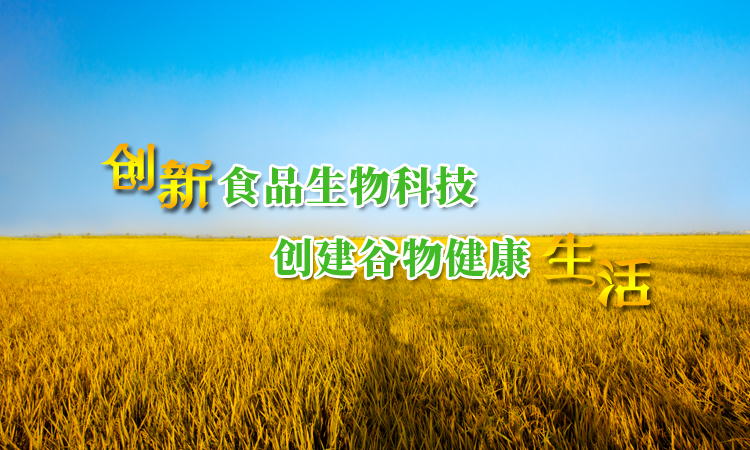 手机轮播图