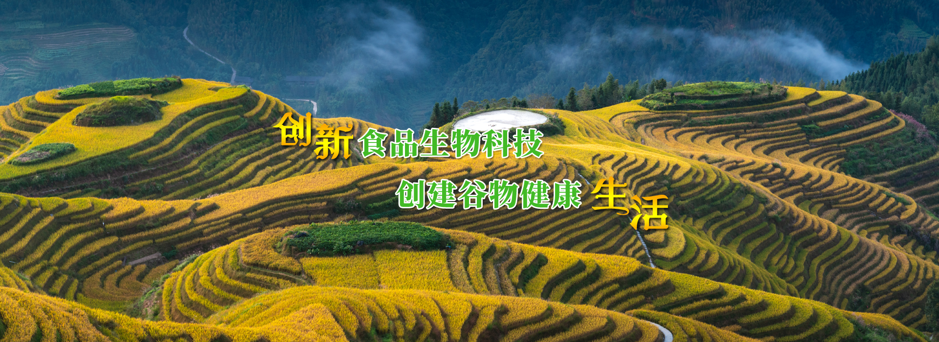 首页轮播图