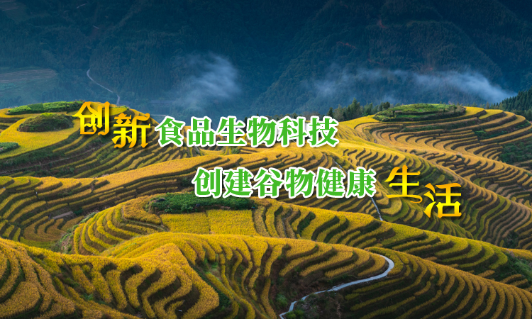 手机轮播图