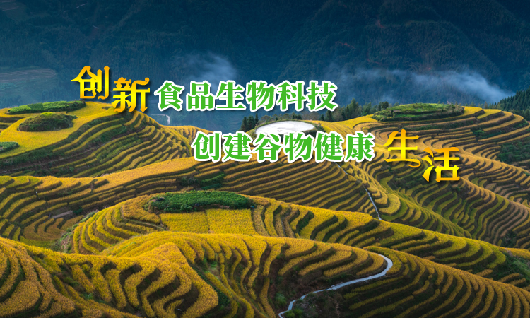 手机内页轮播图